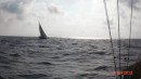 s/v HUG under sail from the Berry