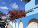 Nice house in Culebra