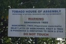 Mangineel Tree Warning