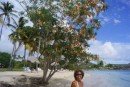 Beach Ste. Anne Martinique