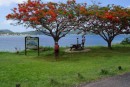 Marin - South Martinique