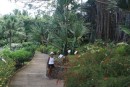 Botanical Garden Deshaies