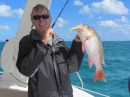 Mutton Snapper caught as we were leaving Marsh Harbor.