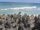 Easter on Lynyard Cay. Rugged coral formations.