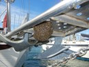 Our bee swarm on the bowsprit.