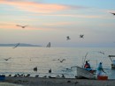 The fishermen at sunset in Aqua Verde.