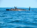 A 103 foot sunken tuna boat in Bahi Salinas on Carmen Island.