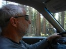 Just past Lake Tahoe in the beautiful pine forests.