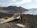 A whale skull on the beach. It´s almost as high as Ian is tall.
