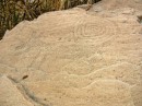 Petroglyph - they were amazing.