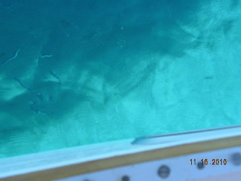 Caleta Partida - fish swimming near the boat