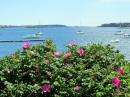 The view from the Dolphin Restaurant over Potts Harbor and Casco Bay