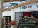 Macaw at the shop near the entrance to the waterfall Quebrada Valencia