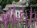 Beautiful homes and flowers in central Quebec City.