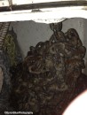This is a photo of our old galvanised chain which shows our 50 meter pile and 20 meters hanging on the side of the locker.