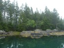 Clear water and beautiful forests near Roque Island, Maine