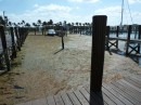 Old Bahama Bay Marina 1/2 full of seaweed.  The Bahamanian owned of the blue hulled boat stayed onboard, the only person to do so in the hurricane.