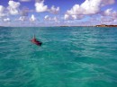 Dolphin visit to Vanish in Bahamas