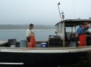 Lobsterman and decky at Roque Island, Maine, USA