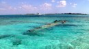 The wreck of the DC 3 at Normans Cay