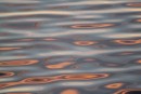 Dappled sunset light on the water in Quahog Bay, Maine, USA
