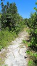 This is one of the remaining trails that are advertised as a nature walk.  This trail leads over to the beach on the Atlantic side of the island.