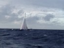S/V Roudabout II.  As we sailed to Tahiti from Fakarava. Just before the heavy weather hit us all for two days.  Swell is bigger than you might think. 