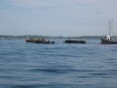 just outside Newport RI - almost looks like the old fashion cod jigging - was harvest time at a fish trap