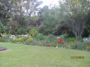 Waitangi garden
