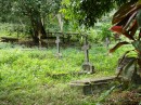 Makongi Graveyard