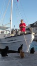 Expectant cats waiting for titbit from fishing boat