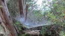 Huge spider web!