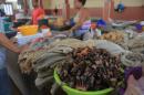 Mindelo fish market....percebes!