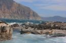 Seal colony off Hout Bay
