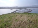 View from Mutton Bird Island