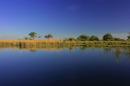 Early morning on the Okavango Delta