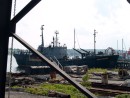 Sea Shepherd-Farley Mowat,
Rusting in Lunenburg