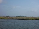 view of the low country grass
