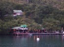 Rainforest Hideaway restaurant.  voted one of the 10 best restaurants in the Caribbean and we agree. 