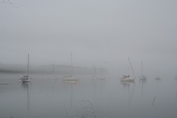 Fog, St Andrews Hrbour, NB