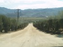 Many long dirt roads, and bumpy...to get to some of the wineries.