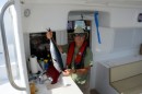 Catching Black Skipjack on the way in...