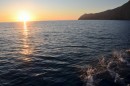 More of the morning Dolphin Show.  This was leaving Catalina, heading for San Diego.