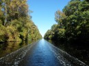 The Great Dismal Swamp Canal at a wide point!