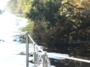 Close call with a downed tree on the Great Dismal Swamp Canal