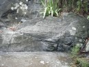 Petroglyphs at the water line.