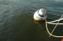 Property of the US Naval Academy, mooring balls in Weems Creek seem to be up for grabs when the academy isn