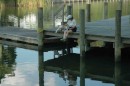 The docks were unaffected and are still a peaceful place to sit on a summer afternoon.