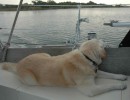 Madison watching the scenery on the ICW.