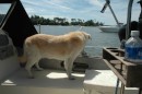 Madison watches as boats arrive and anchor off Dobbins Island.